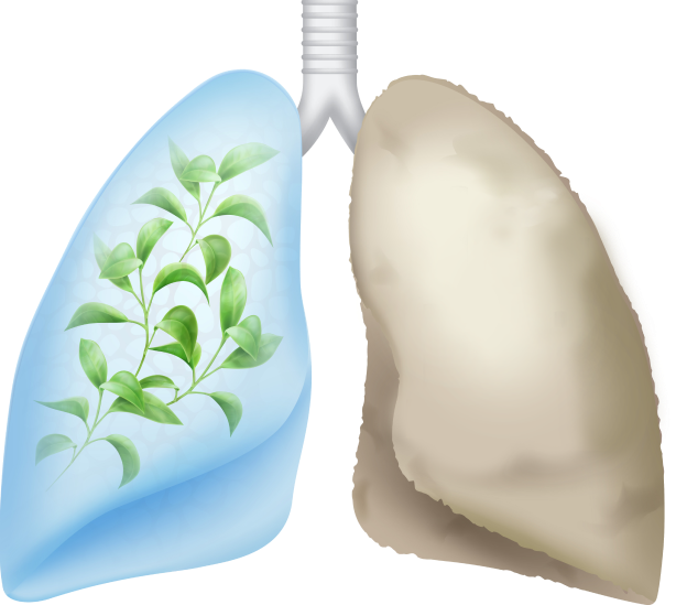 ClearBreath lungs visual